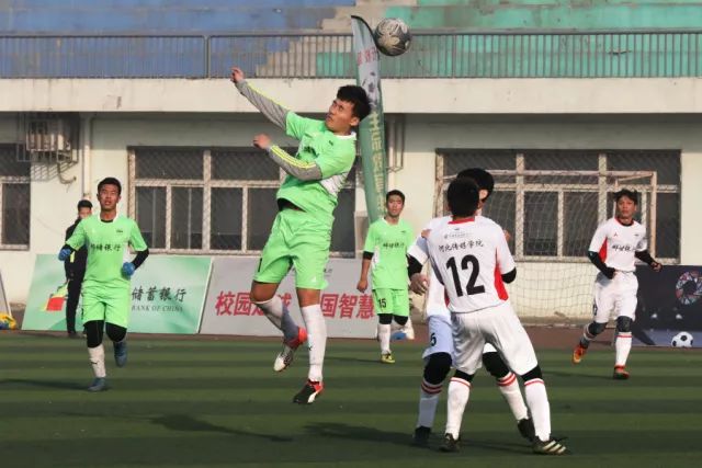 家长为十岁儿子未来身高感到焦虑，众多建议各有见解